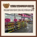 천원세계과자 | [대구 반월당] 천원세계과자 할인점, 다양한 간식 디저트 가격과 종류