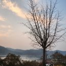 이동꿈틀도서관 이미지