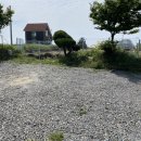 세번째 캠핑! 태안 바다와 가까운 학암포 나로캠핑장 D9 사이트