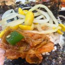 황금코다리 이미지