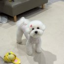 개린이살롱 이미지