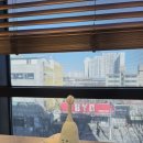 양플란트치과의원 이미지