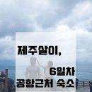 정안호스텔 | [제주살이 6일차]용담포구, 제주공항근처 숙소 '정안호스텔' 제주 숙소추천 혼자있기 딱 인 곳