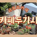 카페두가시 이미지