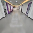 초량애견 이미지