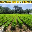 [단양토지 2,169㎡ // 5천7백만원] 평당 8만원대, 얕은 산자락 맑은 개울이 흐르는 청정 주택지! 전기·수도·도로 접... 이미지