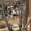 신호솔밭공원 | 강서동헬스장 빅스짐 경찰과도둑후기 마지막편