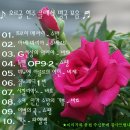 매탄초등학교 이미지