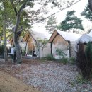 가평밸리 | 조용해서 더 좋았던 하루 🌳가평 네츄럴밸리 풀램핑 후기