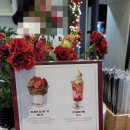 디저트크림 | 광주 수완지구 대형카페 크림집 디저트 케익 후기