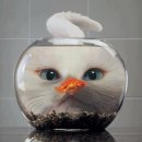 우짤낀데 이미지