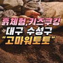 고마워토토대구
