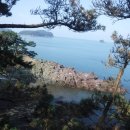 장고도1 이미지