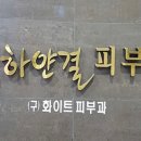 하얀결피부과의원 이미지