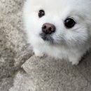 녹원쌈밥 이미지