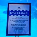 롯데월드아쿠아리움 | 롯데월드 아쿠아리움 이용후기 가격 주차 할인