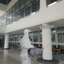 벌레잡는총각들방역