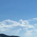 하늘과바다 | 하늘과바다사이 리조트 태안 가성비 펜션 바다앞 숙소 (조개캐기 체험, 근처 식당)