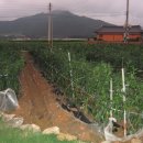 길벗민박 이미지