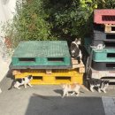 낭만가득청도펜션 | 청도 펜션 추천 | 더문 독채감성숙소 내돈내산 방문 후기