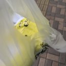 봉구스 밥버거 명일점 이미지