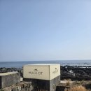 제주의휴일 | [제주도] 제주 바다뷰 카페 휴일로 상세 후기