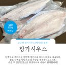 주식회사 타이거 이미지