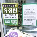 수암농장 | 24시간 무인 계란할인점 일등계란 울산수암점 유정란 구입