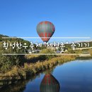 횡성교육도서관 | 횡성한우축제 막걸리 빚기.열기구.디스코팡팡.생태목장 feat.당일치기