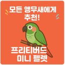 모든 앵무새에게 추천! 프리티버드 미니 펠렛 조류 사료