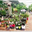 완산-127 이미지