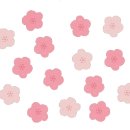 일일과일카페 - 23037 | 일일과일카페