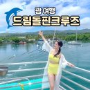 돌핀 | 괌 돌핀투어 예약방법과 꿈같은 드림돌핀크루즈 후기