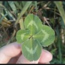 지양산 생태순환길 이미지