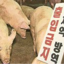 이가렉카 - 서구 화정로179번길 14 | 이가렉카