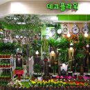 홈플러스시화점 이미지