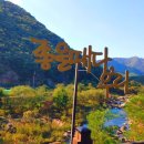 월류봉 둘레길 완정교 화장실 이미지