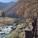 허대구 대구통닭 진천점 이미지