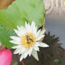 공원로382번길 이미지