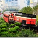 H4226 네이버블로그