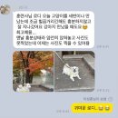 멍마르뜨 반려견 교육센터 | 서울 강아지 교육 우리집에서 받는 반려견 방문교육