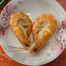 강화도 생선회 맛집추천 “대흥호”