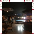 포켓불독 이미지