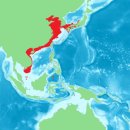 NR-39[서해로]-상-128 | 갑 오징어 ( 영어; cuttlefish )