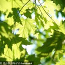 청금탕 이미지