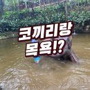 롬복여행2_ 와일드라이프파크 동물원(Wild Life park) 길리에서 방살로 온다면 가족여행지 강력추천!