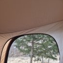 강촌포도팬션&캠핑장 | 26년 3월14일 토요일 춘천 삼악산, 강촌 포도펜션 오토캠핑장