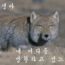 그래요 - 연수구 컨벤시아대로 100 | 그래요