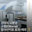 경상동물병원 | 강아지 뇌종양 ‘교종(Glioma)’, IMRT 방사선치료 효과와 예후 – 부산 ·양산 동물병원 에스동물암센터