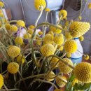 동창농장 이미지